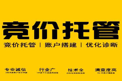 SEM推广案例：精准定位目标客户群体